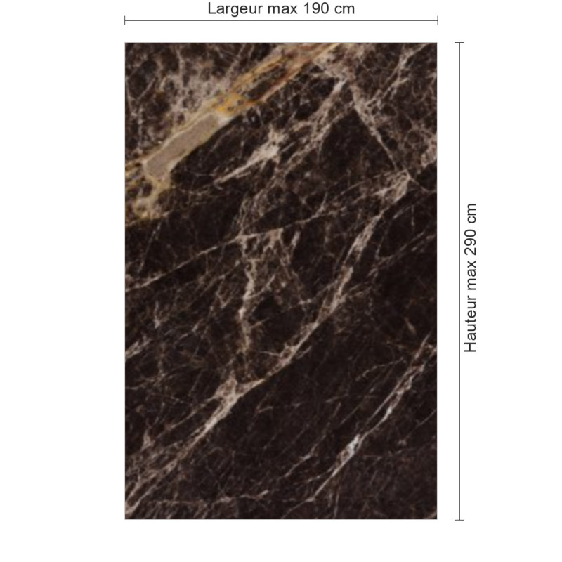 Panneau de douche motif marbre foncé dimensions max 190x290 cm