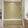 Panneau de douche RAL 1000 Beige vert sur mesure | Livraison gratuite