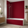 Panneau de douche RAL 3003 Rouge rubis sur mesure | Livraison gratuite