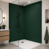 Panneau de douche RAL 6005 Vert mousse sur mesure | Livraison gratuite
